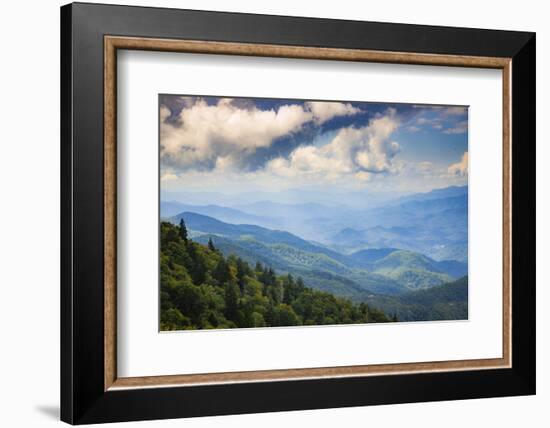 Blue Ridge Parkway vista, Smoky Mountains, USA.-Anna Miller-Framed Photographic Print