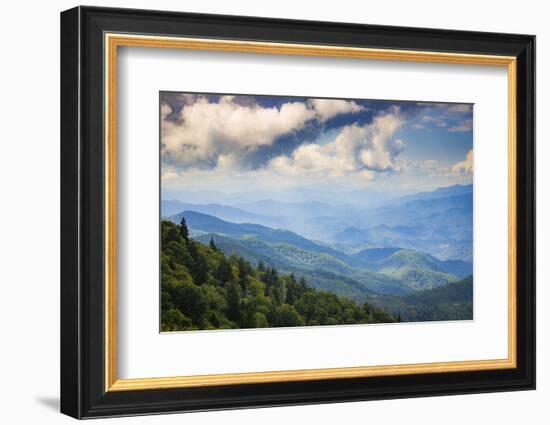 Blue Ridge Parkway vista, Smoky Mountains, USA.-Anna Miller-Framed Photographic Print