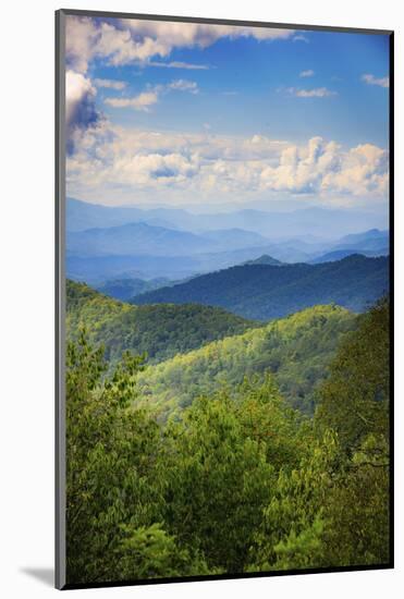 Blue Ridge Parkway vista, Smoky Mountains, USA.-Anna Miller-Mounted Photographic Print