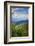 Blue Ridge Parkway vista, Smoky Mountains, USA.-Anna Miller-Framed Photographic Print