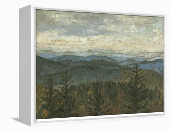 Blue Ridge View II-Megan Meagher-Framed Stretched Canvas