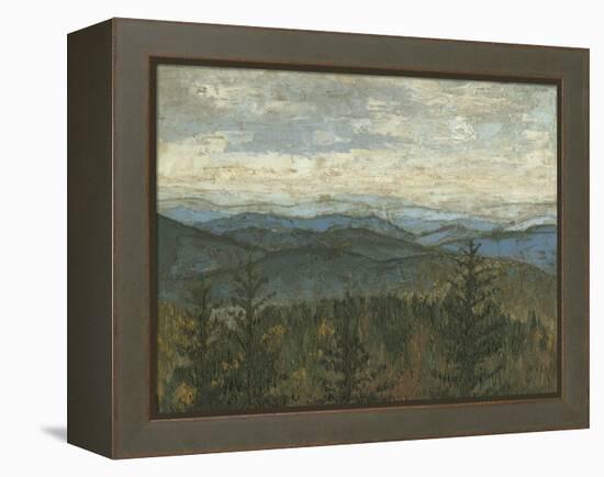 Blue Ridge View II-Megan Meagher-Framed Stretched Canvas