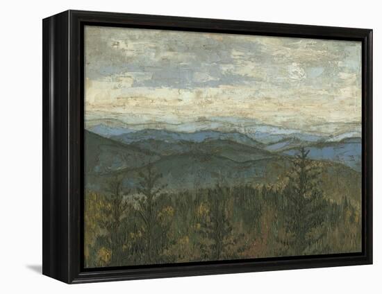 Blue Ridge View II-Megan Meagher-Framed Stretched Canvas