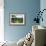 Blue Ridge-Alan Hausenflock-Framed Photographic Print displayed on a wall