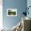 Blue Ridge-Alan Hausenflock-Framed Photographic Print displayed on a wall