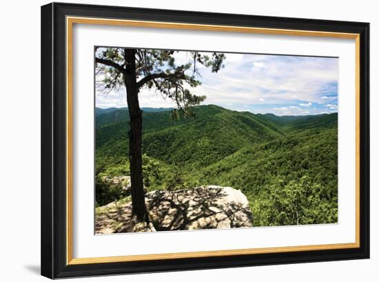 Blue Ridge-Alan Hausenflock-Framed Photographic Print