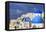 Blue Roofed Churches, Cities Embrace the Steep Mountain Sides, Santorini, Greece-Tom Norring-Framed Premier Image Canvas