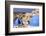 Blue Roofed Churches, Cities Embrace the Steep Mountain Sides, Santorini, Greece-Tom Norring-Framed Photographic Print