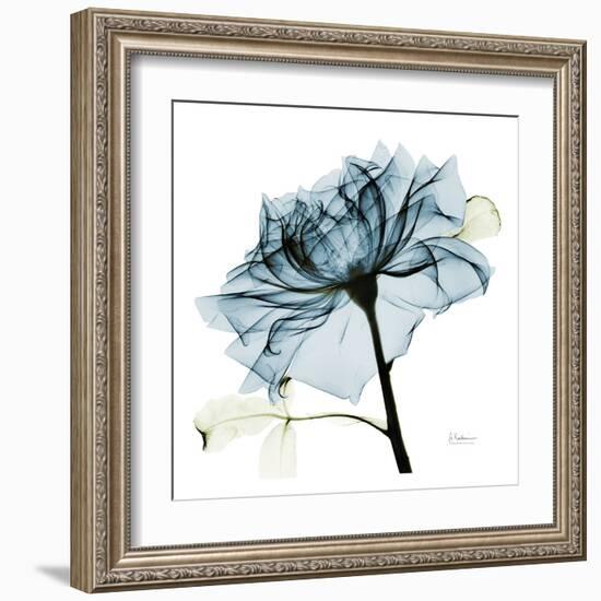 Blue Rose 2-Albert Koetsier-Framed Art Print