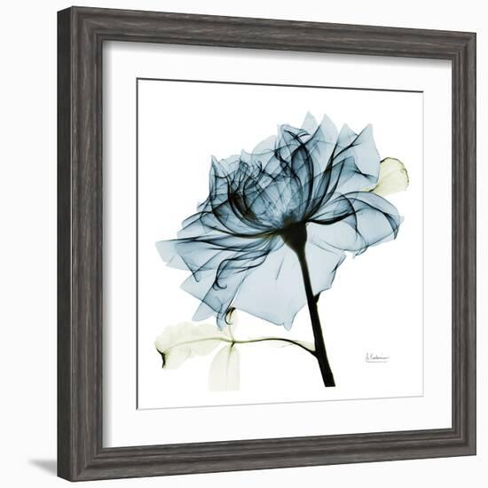 Blue Rose 2-Albert Koetsier-Framed Art Print