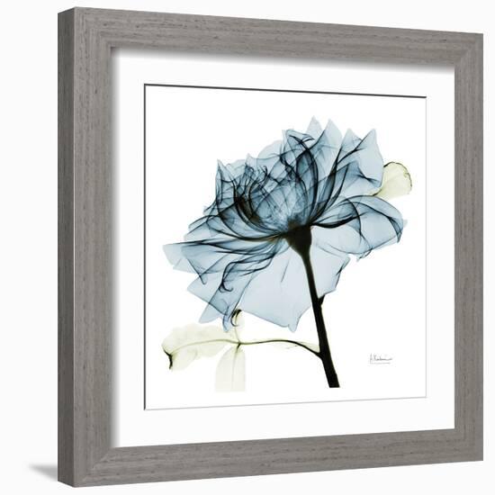 Blue Rose 2-Albert Koetsier-Framed Art Print