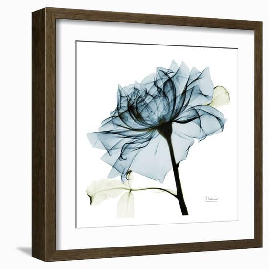 Blue Rose 2-Albert Koetsier-Framed Art Print