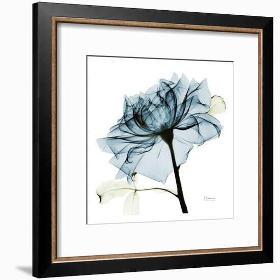 Blue Rose 2-Albert Koetsier-Framed Art Print