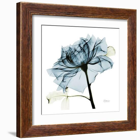 Blue Rose 2-Albert Koetsier-Framed Art Print