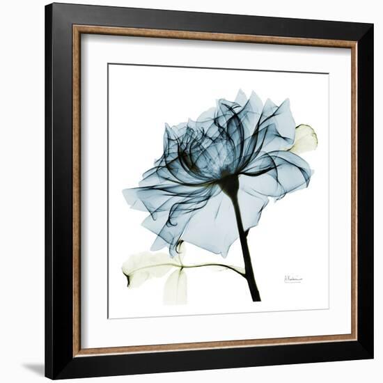 Blue Rose 2-Albert Koetsier-Framed Art Print