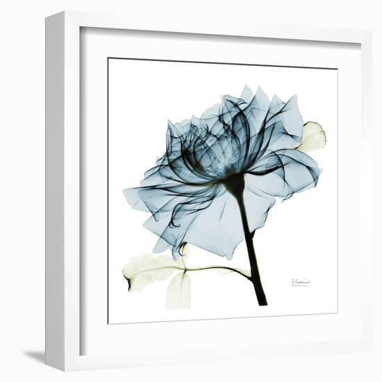 Blue Rose 2-Albert Koetsier-Framed Art Print