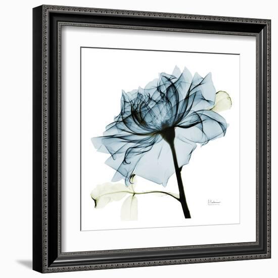 Blue Rose 2-Albert Koetsier-Framed Art Print