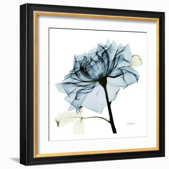 Blue Rose 2-Albert Koetsier-Framed Art Print