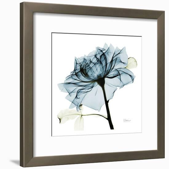 Blue Rose 2-Albert Koetsier-Framed Art Print