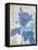 Blue Rose In My Garden-Sheldon Lewis-Framed Stretched Canvas