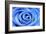 Blue Rose-Stephen Lebovits-Framed Giclee Print