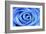 Blue Rose-Stephen Lebovits-Framed Giclee Print