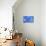 Blue Rose-Stephen Lebovits-Mounted Giclee Print displayed on a wall