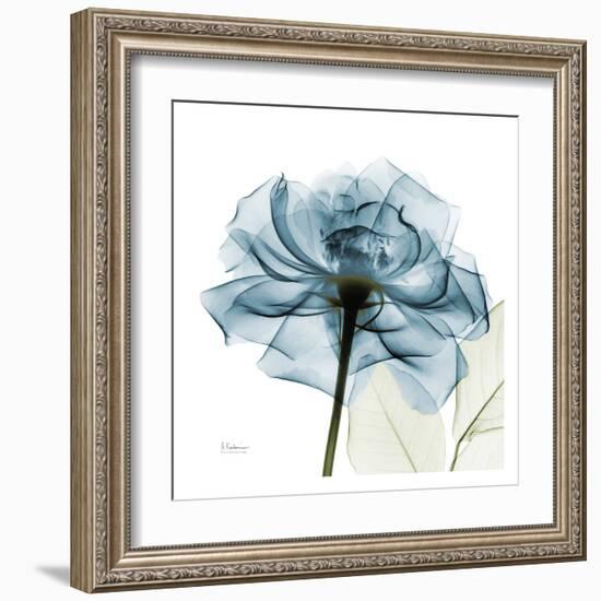 Blue Rose-Albert Koetsier-Framed Art Print