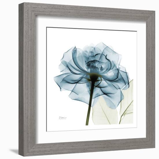 Blue Rose-Albert Koetsier-Framed Art Print