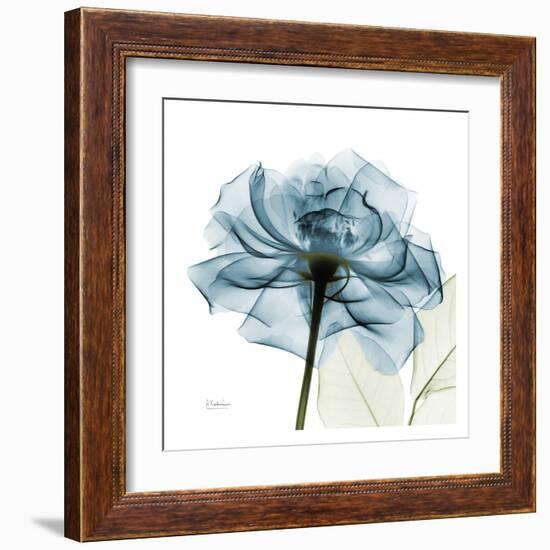 Blue Rose-Albert Koetsier-Framed Art Print