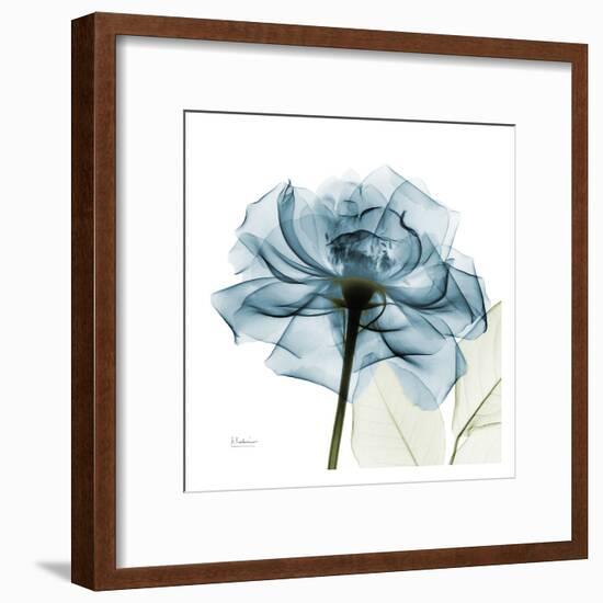 Blue Rose-Albert Koetsier-Framed Art Print