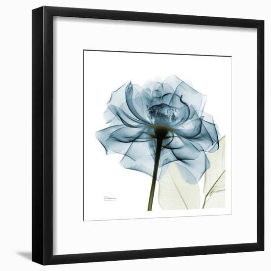 Blue Rose-Albert Koetsier-Framed Art Print