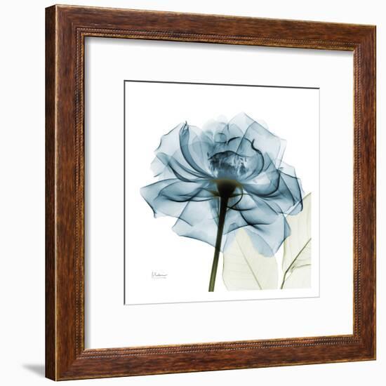 Blue Rose-Albert Koetsier-Framed Art Print