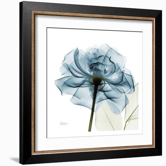 Blue Rose-Albert Koetsier-Framed Art Print