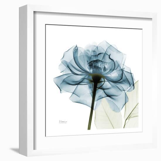 Blue Rose-Albert Koetsier-Framed Art Print