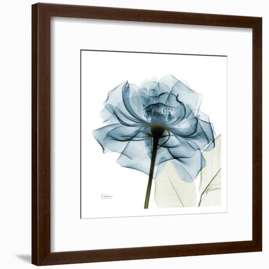 Blue Rose-Albert Koetsier-Framed Art Print