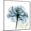 Blue Rose-Albert Koetsier-Mounted Art Print