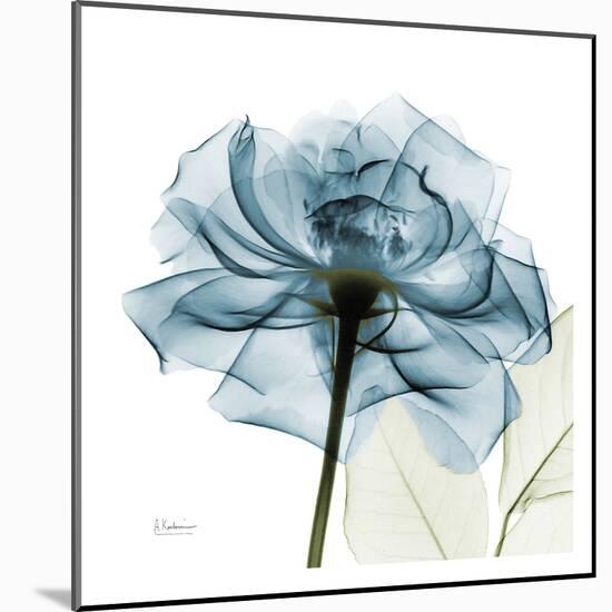 Blue Rose-Albert Koetsier-Mounted Art Print