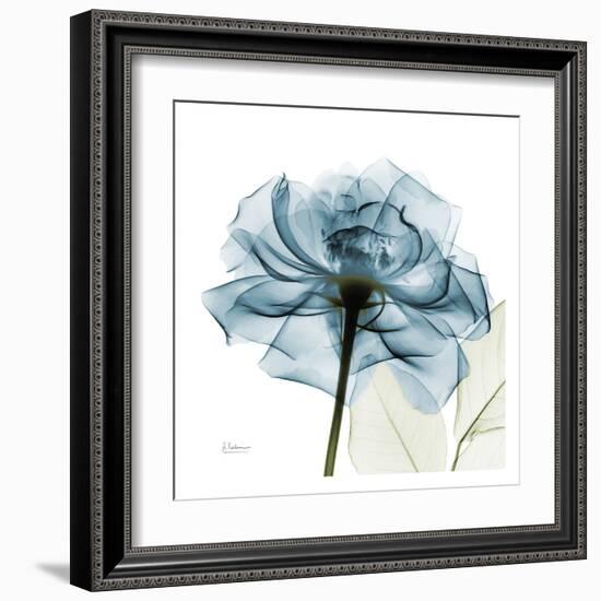 Blue Rose-Albert Koetsier-Framed Art Print