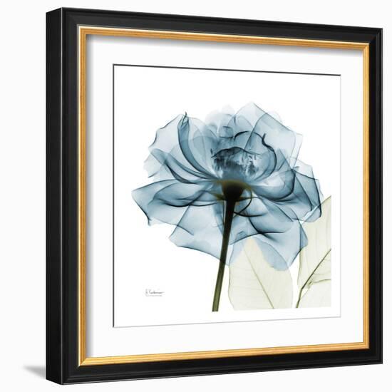 Blue Rose-Albert Koetsier-Framed Art Print