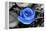 Blue Rose-null-Framed Stretched Canvas