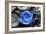 Blue Rose-null-Framed Photo