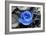 Blue Rose-null-Framed Photo