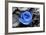 Blue Rose-null-Framed Photo