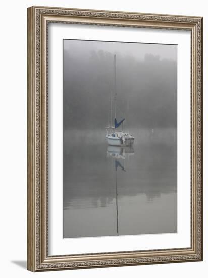 Blue Sail-Tammy Putman-Framed Photographic Print