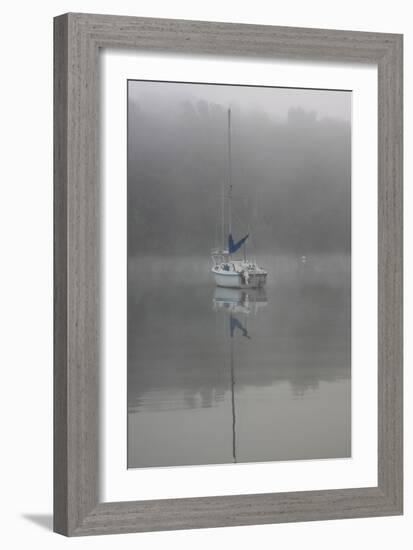 Blue Sail-Tammy Putman-Framed Photographic Print