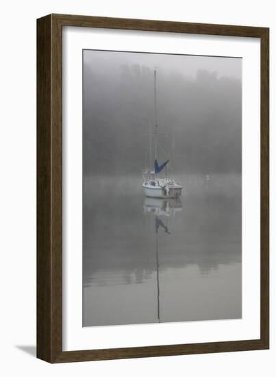 Blue Sail-Tammy Putman-Framed Photographic Print