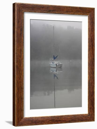 Blue Sail-Tammy Putman-Framed Photographic Print