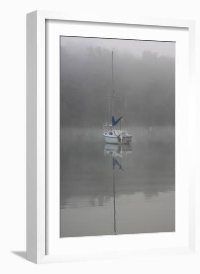 Blue Sail-Tammy Putman-Framed Photographic Print