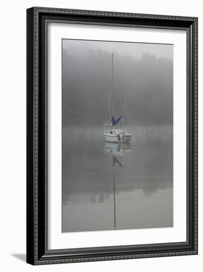 Blue Sail-Tammy Putman-Framed Photographic Print